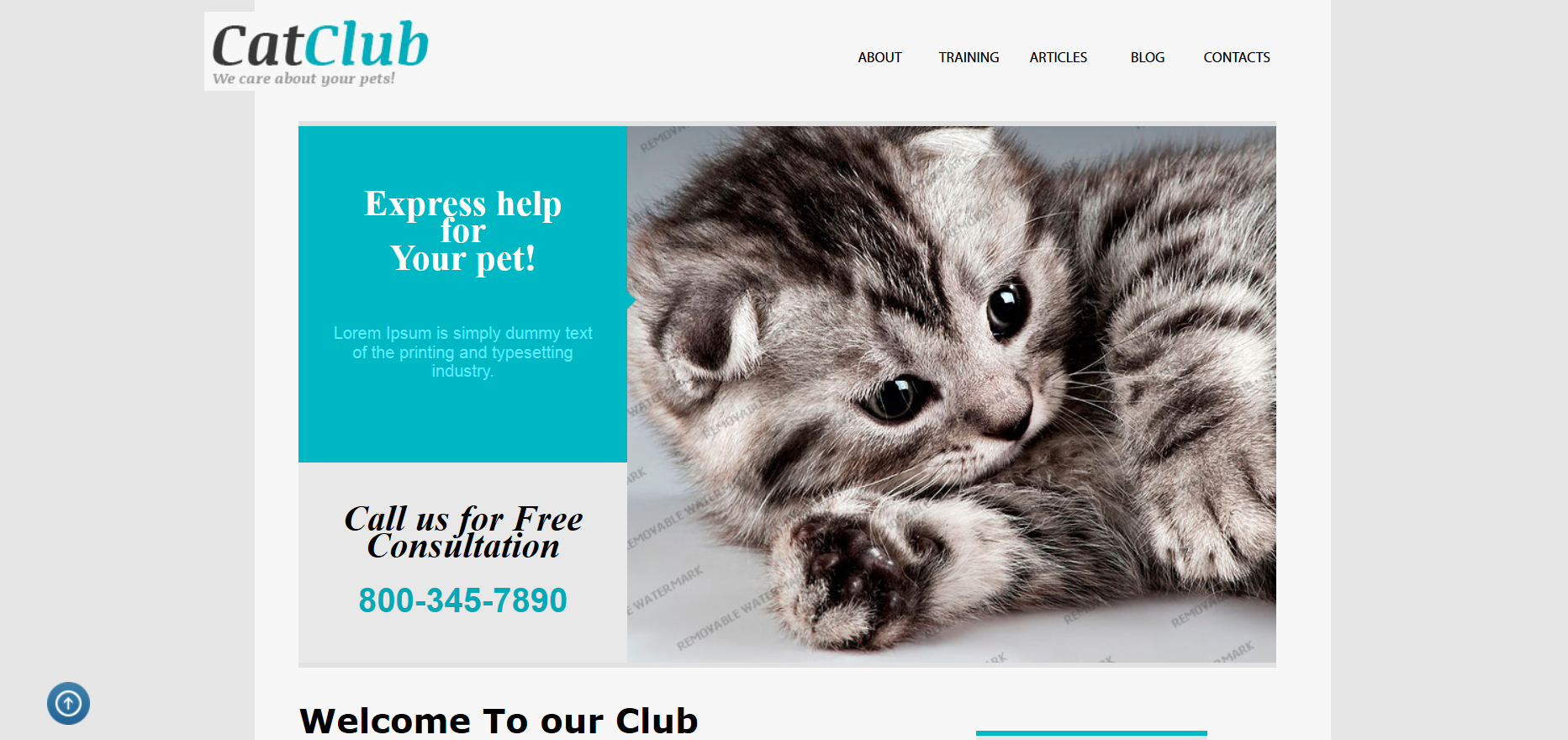 Шаблон сайта Животные №41