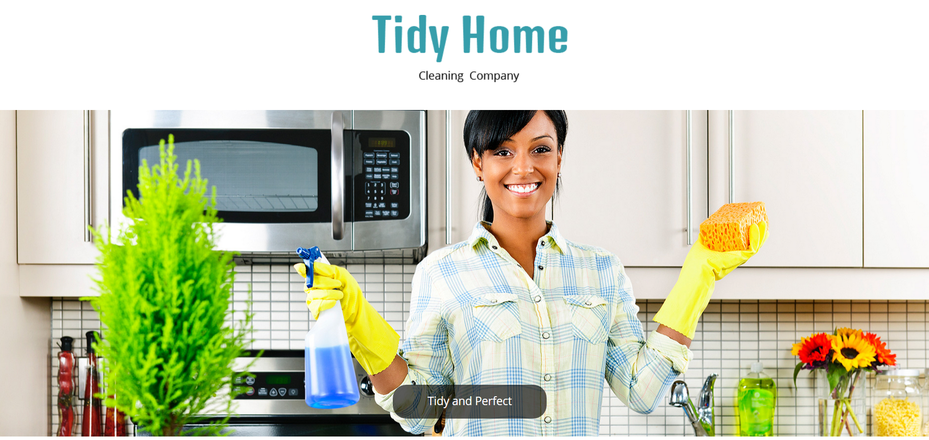 Шаблон сайта Бизнес №14