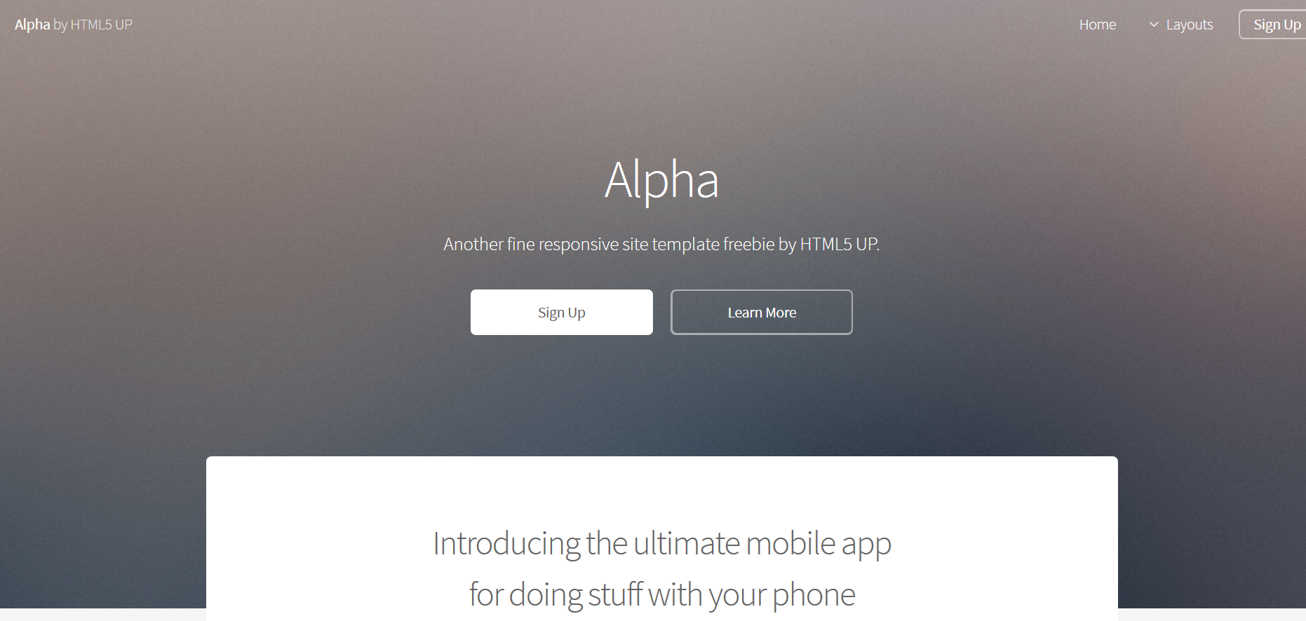 Шаблон сайта Веб №424